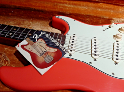 CASES STRATOCASTER