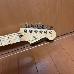 STRATOCASTER HSS -POLAR