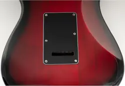 PICKGUARD BACKPLATE SET