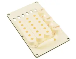 WD ACCESSORY KIT WITH BACKPLATE AND KNOBS FOR FENDER STRATOCASTER AGED WHITE