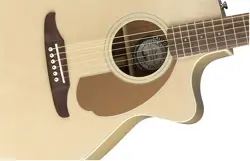 ACOUSTIC GUITAR NEWPORTER