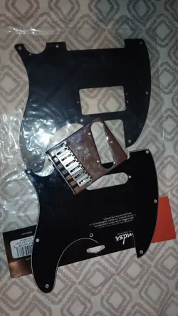 BRIDGE WITH TELECASTER