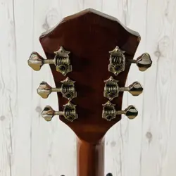 FA-345CE ACOUSTIC-ELECTRIC GUITAR