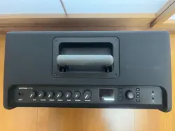 FENDER MUSTANG GT100