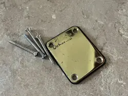 1980 FENDER THE STRAT STRATOCASTER GOLD NECK PLATE GUITAR