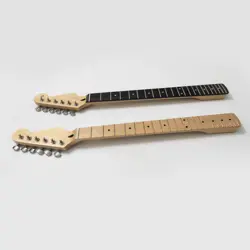 FRETS FINGERBOARD