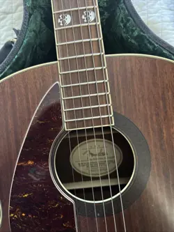 GUITAR WALNUT FINISH