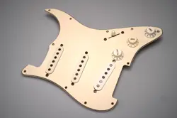 PICKGUARD NR!