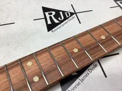 FENDER METEORA ELECTRIC