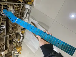21FRETS BLUE DIY
