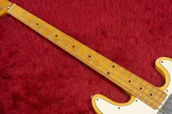 NECK MAPLEFINGERBOARD W/HARDCASE