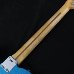 TELECASTER MAPLE BOTTLE
