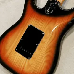 SUNBURST/R FENDER