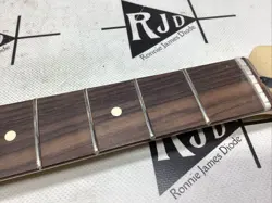 2023 FENDER MIM TOM DELONGE DELUXE SERIES STRATOCASTER NECK CBS