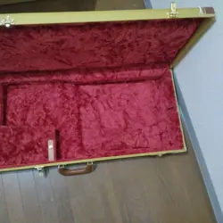 TELECASTER HARDSHELL GUITAR