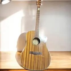 FENDER ACOUSTIC GUITAR WITH COVER