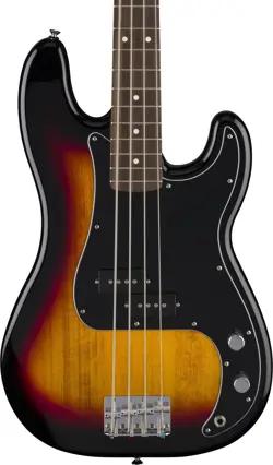NEW! FENDER STANDARD