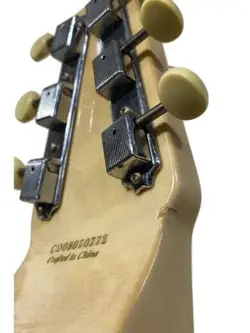 STRINGS ELECTRIC HAWAIIAN