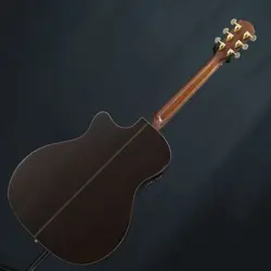 ACOUSTICS USED GA-45SCE