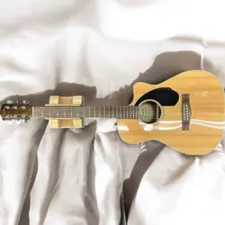 FISHMAN ELECTRONICS USED