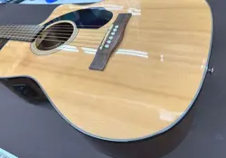 WITH FISHMAN ELECTRONICS