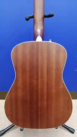 WN ACOUSTIC-ELECTRIC GUITAR