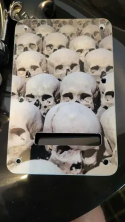 BACKPLATE SKULL