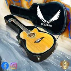 ACOUSTIC ELECTRIC FENDER