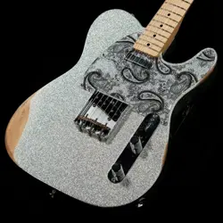 FENDER BRAD PAISLEY ROAD WORN TELECASTER SILVER SPARKLE