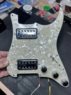LOADED PICKGUARD TV