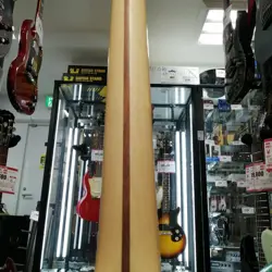 JAZZMASTER 2018 ELECTRIC