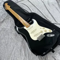 MEANED FUJIGEN FENDER