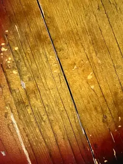 1974 1975 FENDER JAGUAR GUITAR BODY SUNBURST