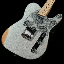 FENDER MEXICO / BRAD PAISLEY ROAD WORN TELECASTER SILVER SPARKLE