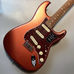 FENDER PLAYER PLUS STRATOCASTER PAU FERRO #GGC6G