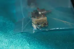 GUITAR TOGGLE SWITCH