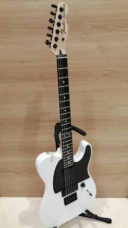 FENDER MEXICO JIM ROOT TELECASTER