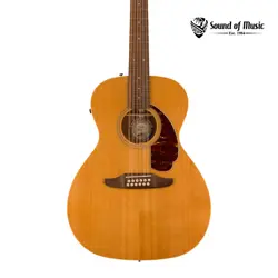 TORTOISESHELL PICKGUARD W/GIG