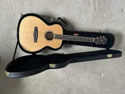 FENDER PARAMOUNT PM-TE TRAVEL