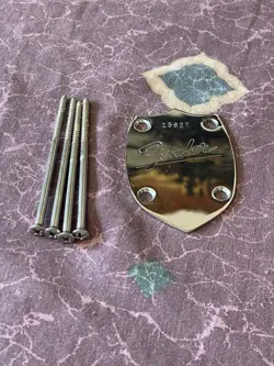 1966 FENDER ACOUSTIC