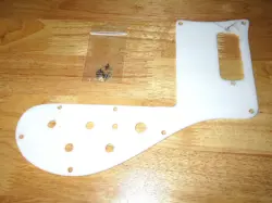 RICKENBACKER 1973 WHITE