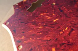 CELLULOID PICKGUARD NITRATE