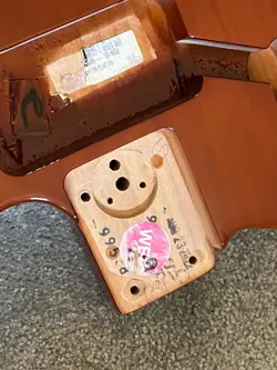 FENDER AMERICAN TELECASTER CUSTOM GUITAR BODY MOCHA USA