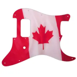 DELONGE STRATOCASTER CANADIAN