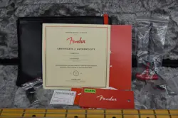 MAPLE FINGERBOARD PLASMA