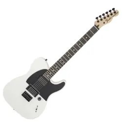 FENDER TELECASTER JIM ROOT WHT ELECTRIC GUITAR NO.YG1248