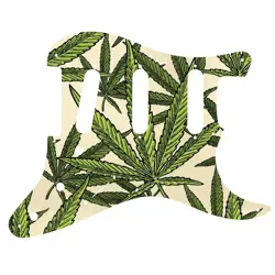 ERIC CLAPTON CANNABIS