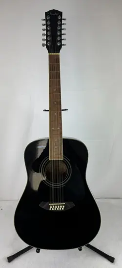 BLK 12-STRING