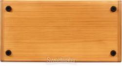 100 100-WATT ACOUSTIC