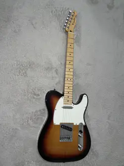 FENDER MEXICO / PLAYER TELECASTER NO.MG1824